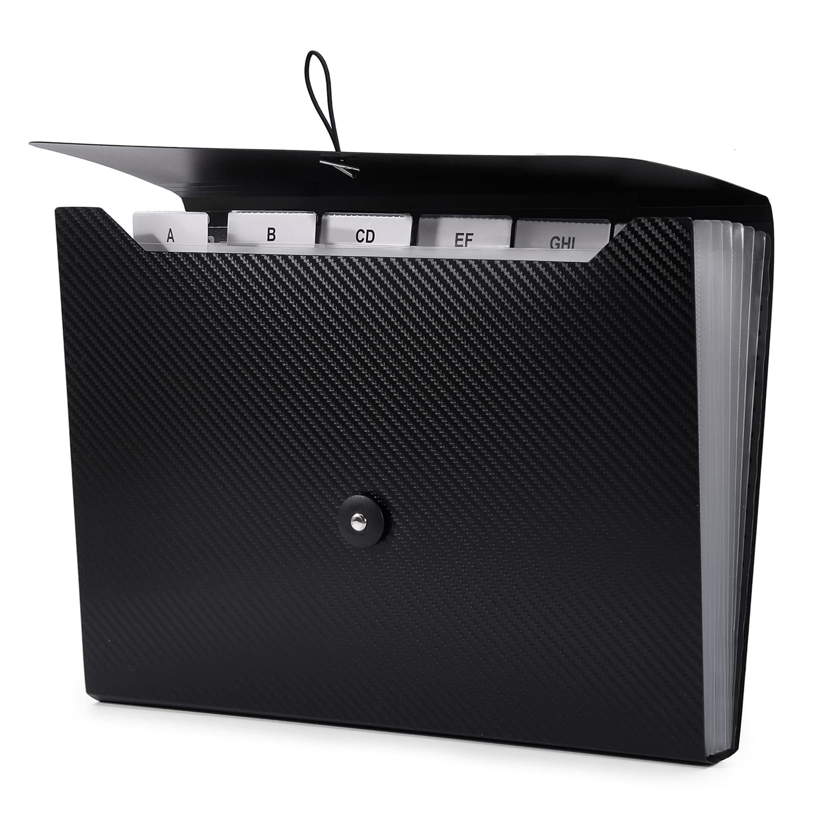 Expanding Document Organizer with Tabs and Elastic Closure