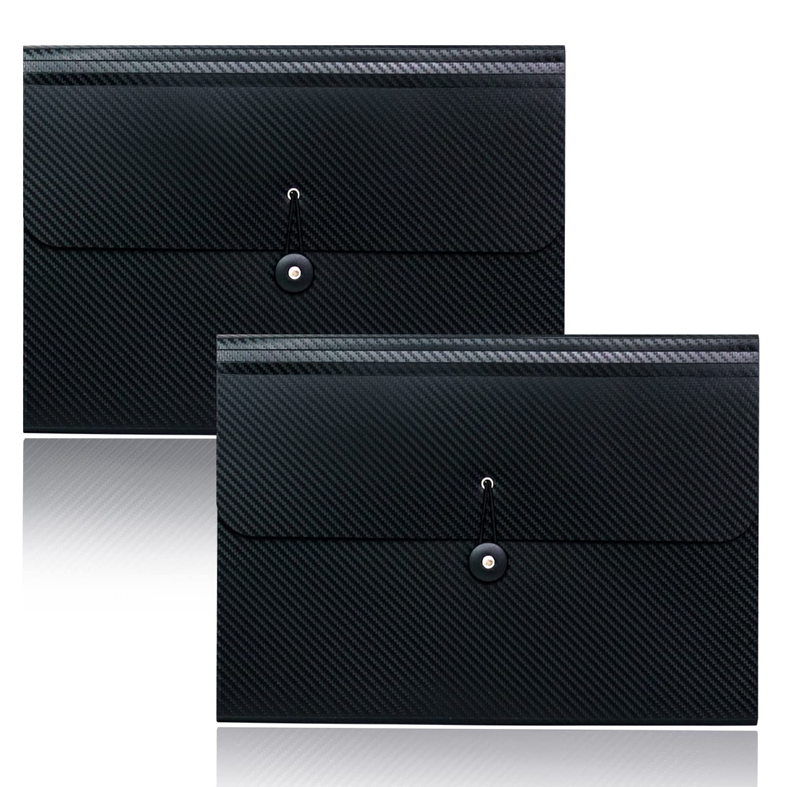 Expanding Document Organizer with Tabs and Elastic Closure