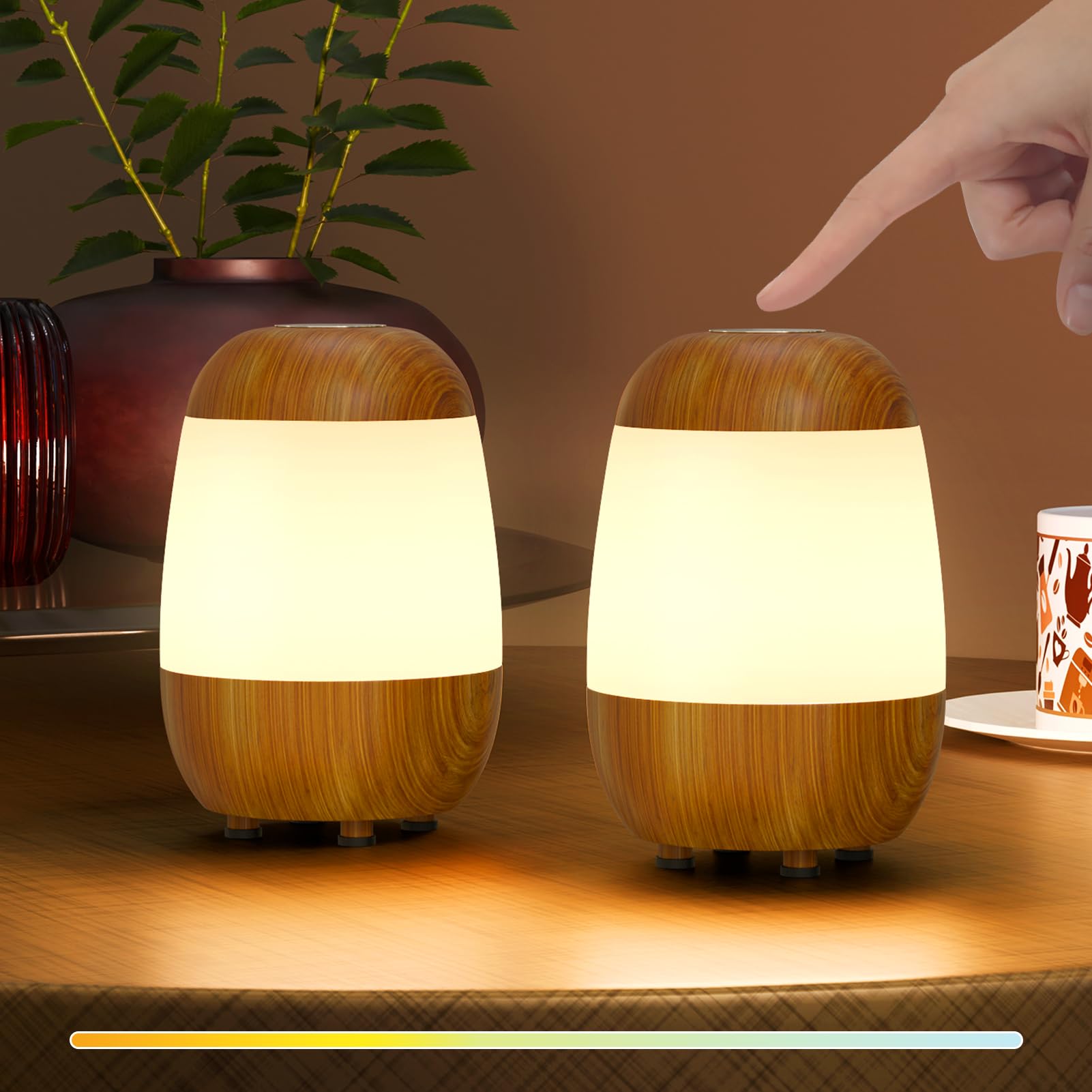 Cordless Touch-Dimmable LED Night Lamp