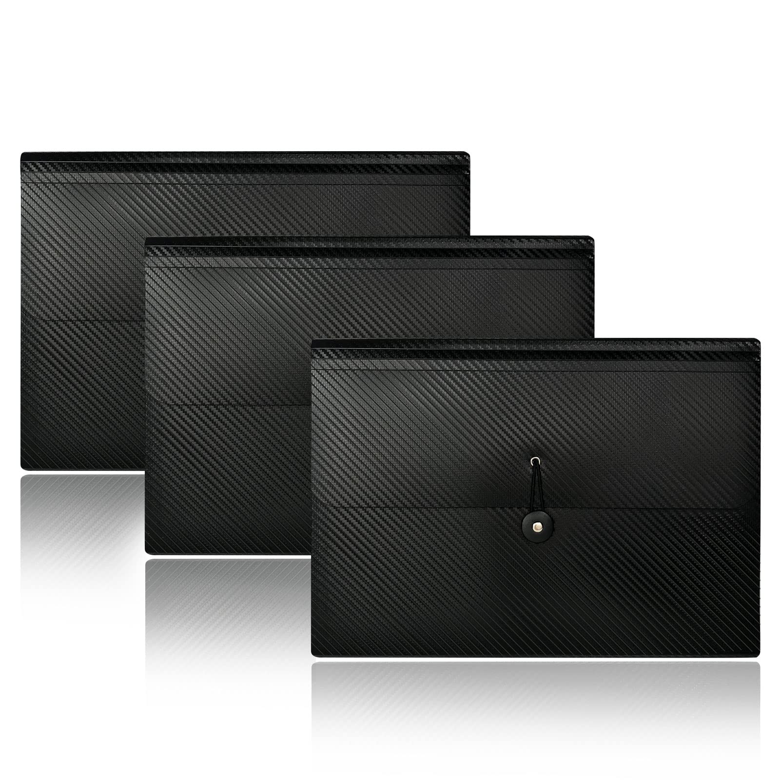 Expanding Document Organizer with Tabs and Elastic Closure